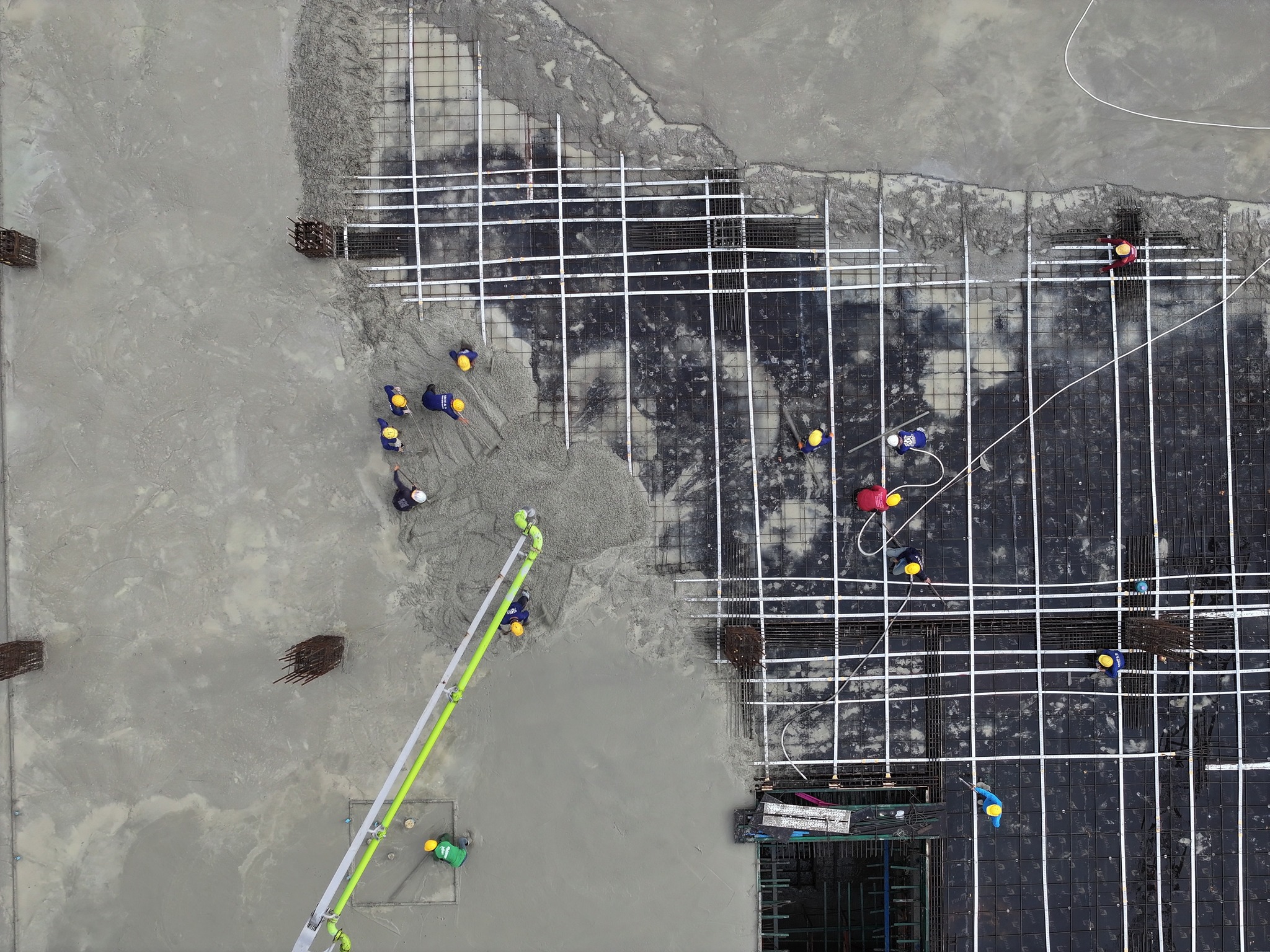 แบนเนอร์ 7